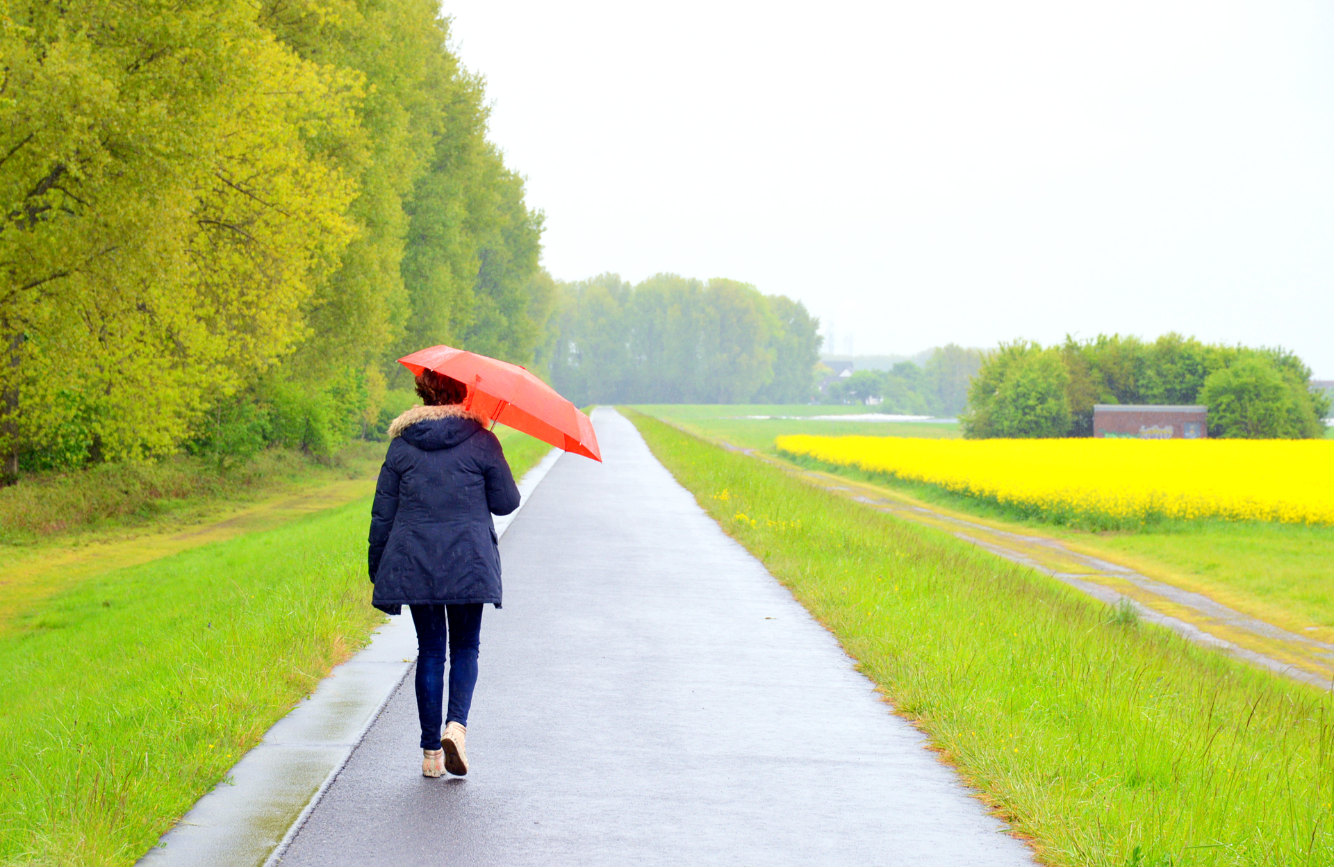 Die Dame mit rotem Schirm, rechts Rapsfeld. Foto: (c) ubicolonia